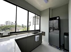 Thomson Grove (D26), Condominium #505420111